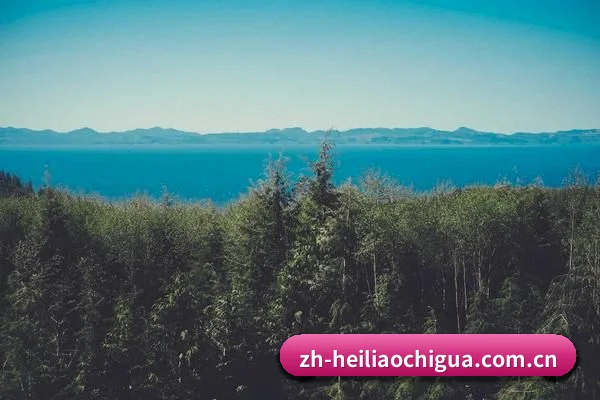 粉丝基数飙升 - 深挖娱乐圈名利场,独家猛料频出,平台日均产出上百条无注水热搜,彻底打响业内名号。